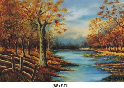 18 (81)
